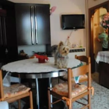 شقة Casa Vacanze Micetta بولونيا